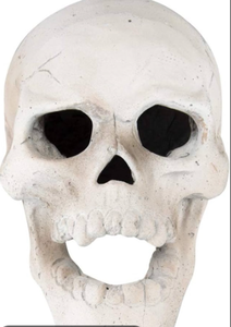 lot 43045 image: Hyde & EEK Decorative Halloween Skull