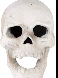 lot 43046 image: Hyde & EEK Decorative Halloween Skull