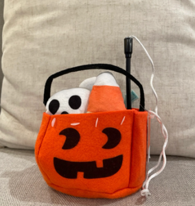 lot 43055 image: Boots & Barkley Halloween Cat Toy Collection