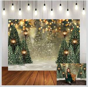 lot 69492 image: Winter Wonderland Photography Backdrop 5x7ft  - Retail $20