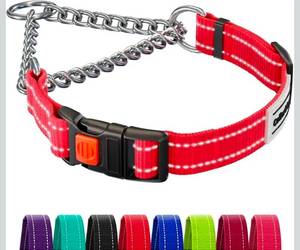 lot 69556 image: Reflective Dog Training Collar Set with Chain Martingale - Retail $15