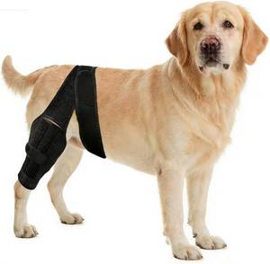 lot 5054 image: Dog Knee Brace for Torn ACL,Dog ACL Braces with Side Stabilizers,Adjustable Dogs Leg Brace Suitable for 4 Limbs,Dogs Hip Brace for Arthritis Relief, Joint Stability,Reduces Pain and Inflammation