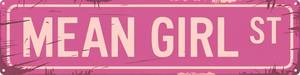lot 6568 image: Mean Girl St Funny Rustic Pink Wall Metal Tin Signs Decor 4x16 in
