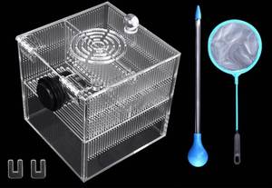 lot 4566 image: Magnetic Fish Breeder Box for Isolation Boxes (4.71 Inch with 2 Divider Sealed Bottom Version)