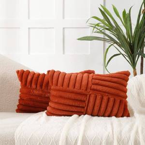 lot 4853 image: All Smiles Fall Throw Pillow Covers 12x20 Set of 2 Burnt Orange Faux Fur Soft Fluffy Velvet Cushion Case Autumn Thanksgiving Decoration Farmhouse Home Decor for Couch Bed Sofa Living Room,Boho Rust