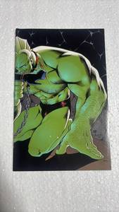 Vampirella Crossover Gallery comic Virgin cover edition the savage dragon - Retail: $15