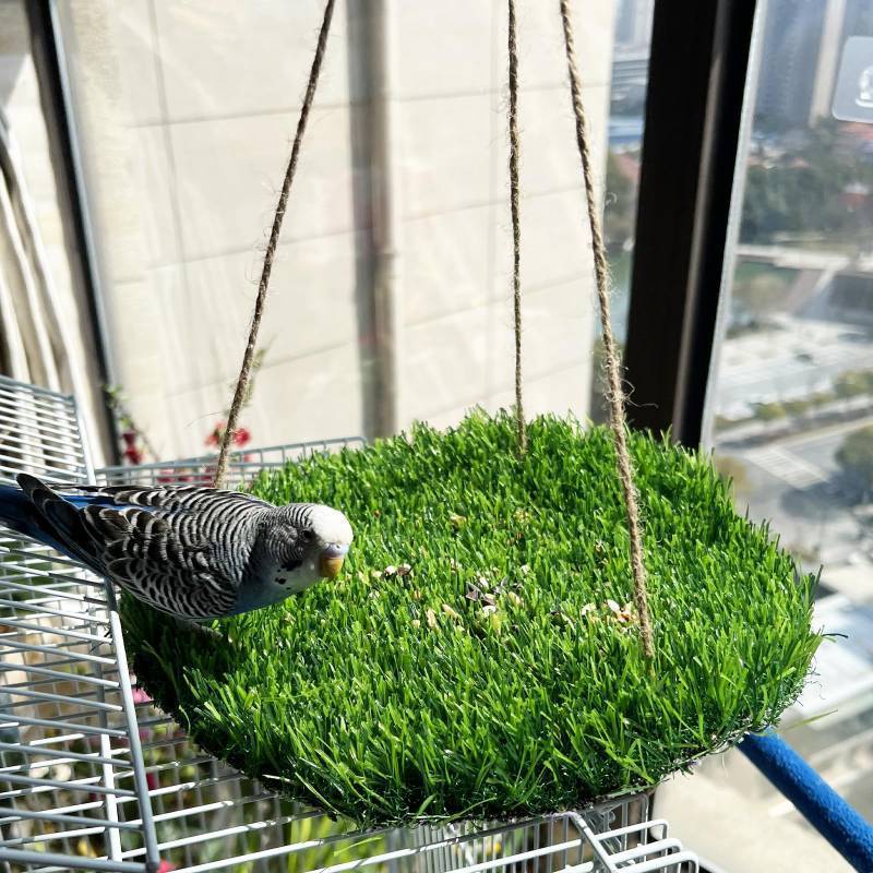 lot 53376 image: FlidRunest Large Bird Foraging Mat Toys, Natural Bird Grass Hammock Swing Toy with Hooks, Climbing Perch Hanging Toy for Parakeets, Parrot, Cockatiels, Bearded Dragon, Snake