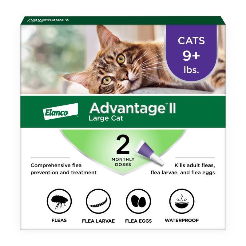 lot 37645 image: Advantage II Large Cat Vet-Recommended Flea Treatment & Prevention  Cats Over 9 lbs.  2-Month Supply