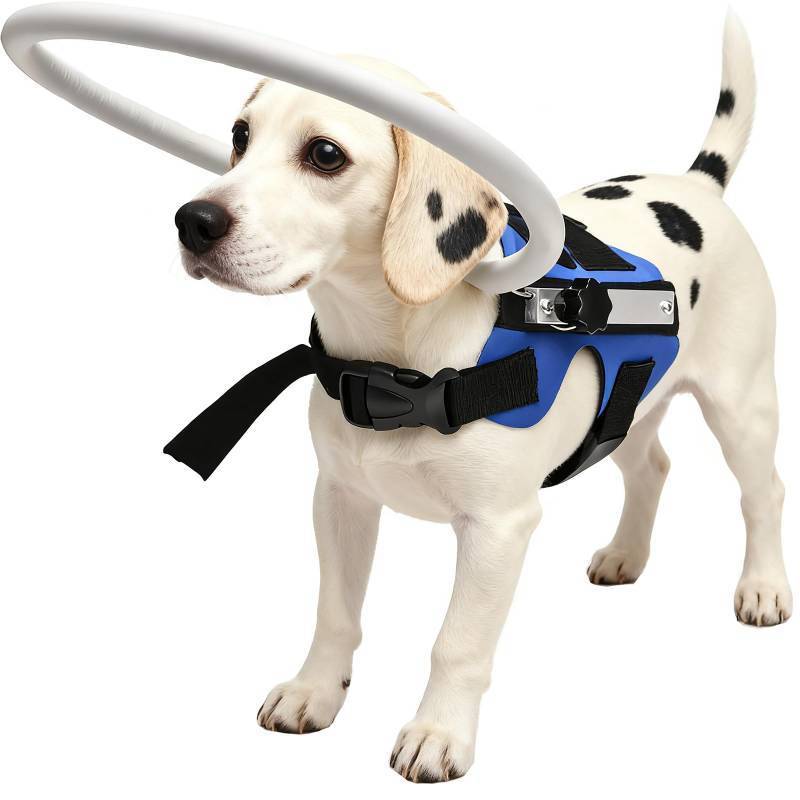 lot 28112 image: GabeFish Lightweight Adjustable Blind Ring for Dogs Cats, Pet Harness Guide Device Blue Small