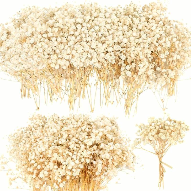 lot 25037 image: 4700 Mini Dried Babys Breath Flowers, 90Pcs Ivory White Baby Breath Flower Bulk, Dried Flowers for Crafts, Wedding Decor Boho Invitation, Resin Candle Making, Dry Babies Flowers, Rustic Gypsophila