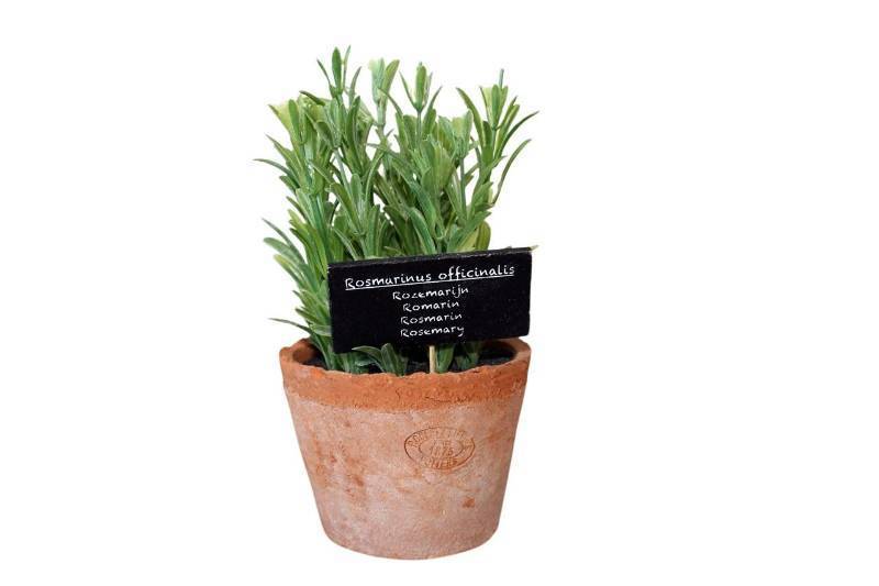 lot 29865 image: Esschert Design Artificial Herb Plant, Rosemary, Large - Retail $25