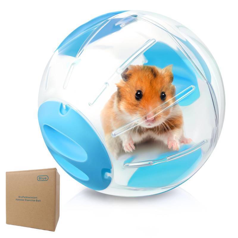 lot 39815 image: Hamster Exercise Ball, 7.9 Inch Syrian Hamster Ball, Transparent, Large Ball with Four entrances (Blue) - Retail $19