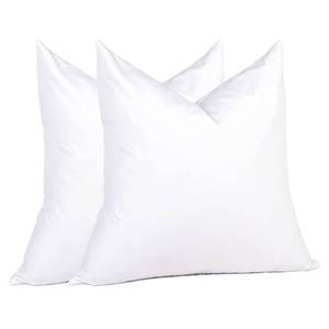 lot 26168 image: Puredown Natural Feather Down Throw Pillow Inserts 20 x 20 (Set of 2, White), Decor Pillow for Couch, Chairs, Office, Apartments