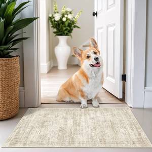 lot 40276 image: Restydon 2x3 Washable Rug Runner for Bathroom, Soft Entryway Rug for Laundry Room, Kitchen, Vintage Abstract Hallway Runner for Bedroom, Anti-Slip Door Mat Indoor Entrance(2x3, BeigeIvory) - Retail $14
