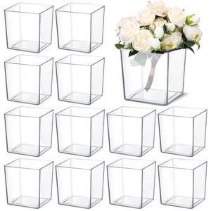 lot 49069 image: Tioncy 12 Pcs Clear Square Vase 5 x 5 Acrylic Flower Plastic Vases for Centerpieces Acrylic Cube Plastic Container Bulk Succulent Pots Planters for Plant Wedding Home Office Floral Decor - Retail $46