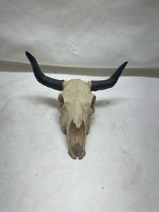 lot 148 image: Small Western Cow Skull with Black Horns