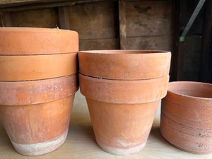 lot 13 image: Garden Pots