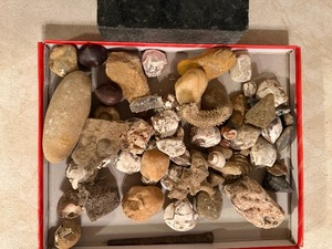 lot 339 image: Rock Collection and Marble Piece