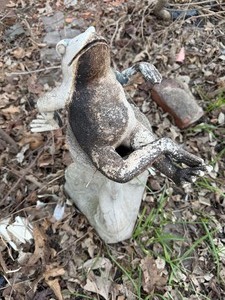 lot 814 image: Concrete Bird Bath Pedestal w Fish Accents, Frog, Stepping Stones, Turtle Sprinkler, Tortoise Plant Holder
