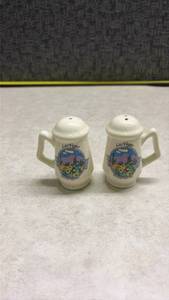 lot 964 image: Las Vegas Desert Scene Salt and Pepper Shakers (SS)