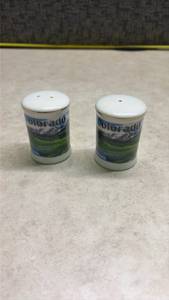 lot 972 image: Colorado Mountain Scene Salt and Pepper Shakers. (SS)