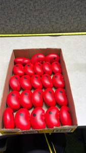 lot 1005 image: National Kidney Foundation Promotional Stress Balls