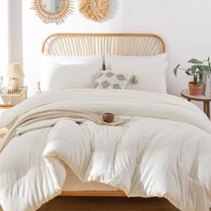 lot 5664 image: ROSGONIA Queen Comforter Set Ivory, 3pcs(1 Boho Ivory Comforter & 2 Pillowcases) All Season Soft Bedding Lightweight Bedspread Blanket Quilt Bed