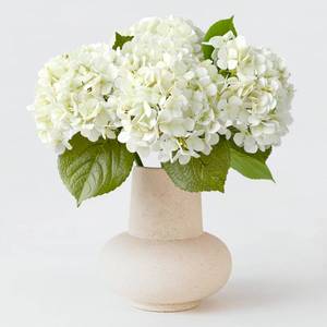 lot 5734 image: ZYTUYO 4PCS White Artificial Flowers Hydrangea 20 Real Touch Latex Faux Hydrangeas Silk Flowers with Green Leaves Stems for Short or Tall Vase Table Party Center Fake Bouquet Decor