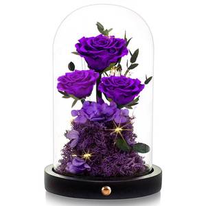 lot 5776 image: DENIMOMO Valentines Day Flowers Roses Gifts for Women Her,Forever Preserved Rose in Glass Dome, Valentines Anniversary Birthday Real Roses Gifts for Wife Women Girlfriend Best FriendPurple