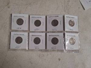 lot 1024 image: Buffalo Nickel Collection
