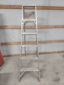 lot 1167 image: Werner SAF-T-MASTER 6-Foot Step Ladder