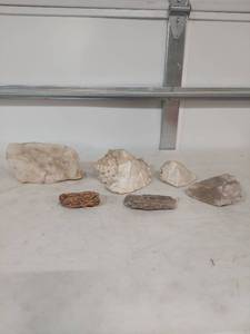 lot 1276 image: Natural Seashell and Rock Specimen Collection