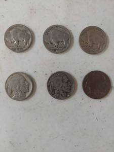 lot 1793 image: (6) Buffalo Nickel Collection