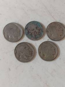 lot 2175 image: Buffalo Nickel Collection - Five Coins