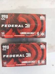 lot 1245 image: Federal American Eagle 22LR Suppressor 45 Grain Copper Plated Solid Ammunition - 2 Boxes
