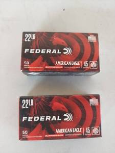 lot 2297 image: Federal American Eagle Suppressor 22LR 45 Grain Copper Plated Solid Rimfire Ammunition - 2 Boxes