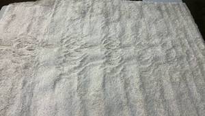 lot 2008 image: Threshold Cream Eyelash Shag Area Rug. 78x910. Color Cream.