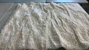 lot 2086 image: Project 62 Eyelash Shag Cream Area Rug 5x7.