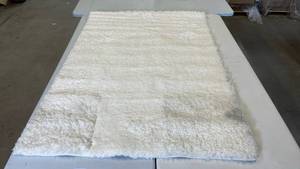 lot 3100 image: Room Essentials Area Rug, 4x56