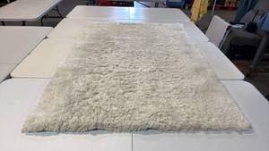 lot 8044 image: Room Essentials Cream Shag Area Rug 4x6