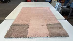 lot 8062 image: Room Essentials Brand 4x6 Pink Shag Area Rug