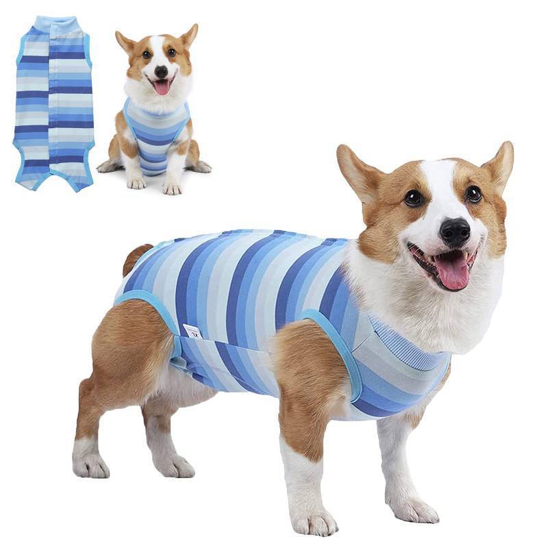 lot 29937 image: Coppthinktu Recovery Suit for Dogs Dog Onesie for Surgery, Dog Surgery Recovery Suit for Small Medium Dogs, E-Collar Alternative Anti Licking Abdominal Wounds Pet Surgery Recovery Neuter Suit - Retail $14