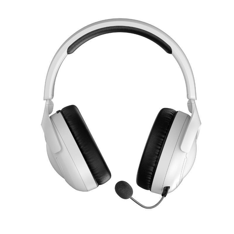 lot 51664 image: Rumoon Wireless Gaming Headset for PS5, 2.4GHz Gaming Headset with Mic - Retail $173