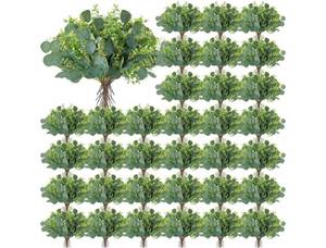 lot 59207 image: Yunsailing 100 Pcs Faux Eucalyptus Stems with White Seeds Artificial Eucalyptus Leaves Greenery Decor Fake Leaf Branches for Wedding Bouquets Centerpiece Flower Arrangement Farmhouse Home Decoration - Retail $36
