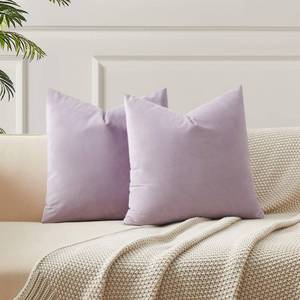 lot 44320 image: Decorative 20x20 Pillow Covers Set of 2 Velvet Throw Pillow Covers for Couch Sofa Bed Soft Cushion Covers Cases with Hidden Zipper for Living Room Home,Lilac - Retail $15