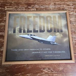lot 82 image: Military Fighter Jet Freedom Quote Framed Print