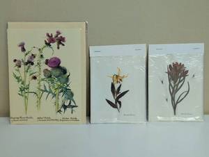 lot 16871 image: Colorado Wildflower Botanical Print & 2 Specimen collections, set of 3 in protective sleeves.