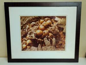 lot 16892 image: Holly Miller Emergence Signed Photography Art Print Matted and Framed