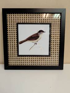 lot 16893 image: Framed Swallow Bird Print with Woven Rattan-style matting