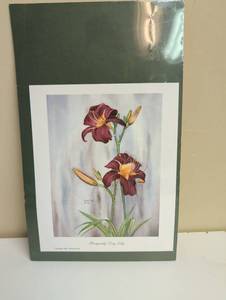 lot 16894 image: Burgundy Day Lily Print by Carmel Foret 1987